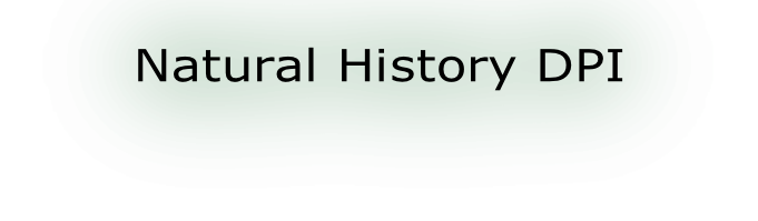 Natural History DPI